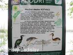 Naučná stezka KOTVICE